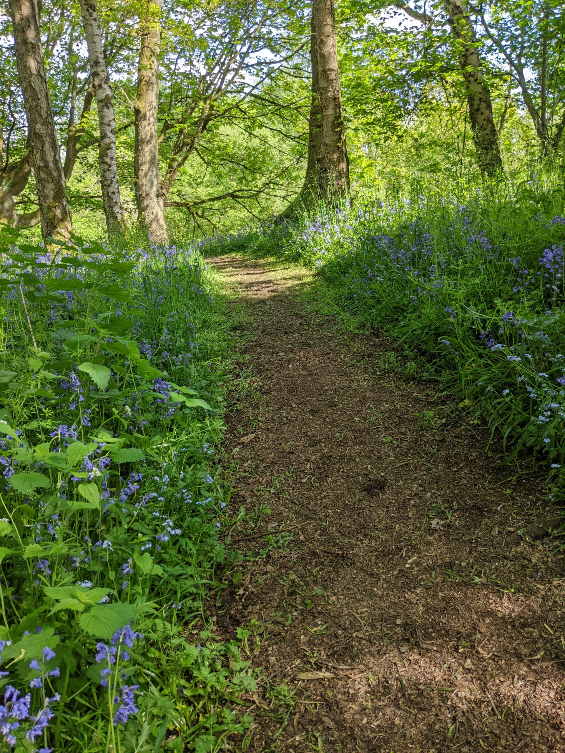 Exploring the Ecotone