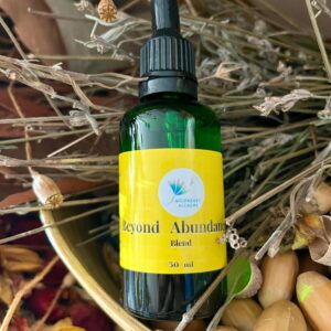 Beyond Abundance Essence Blend